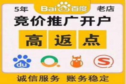 某品牌sem竞价托管代运营的精彩瞬间